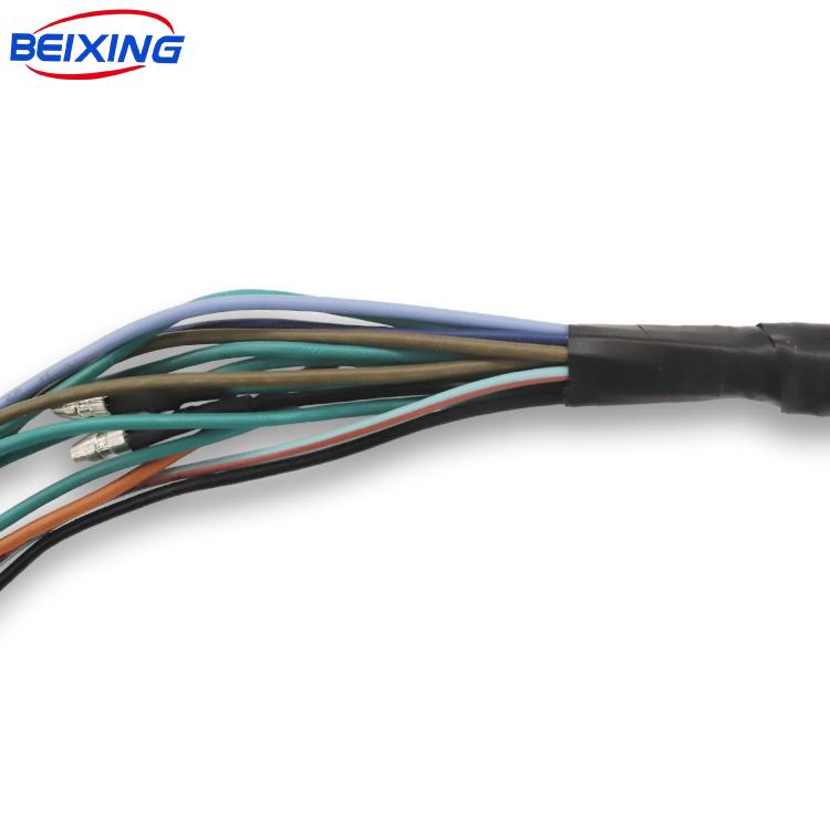 Molex Micro-fit Overmolded Custom Wire Harness Cable Assembly E00063 for Car IATF16949 for PVC Insulation IP66 BeiXing
