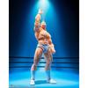 TAMASHII NATIONS S.H.Figuarts Kinnikuman - Perfect Superhuman Ancestor Arc - Approx. 155mm PVC & ABS Painted Movable Figure
