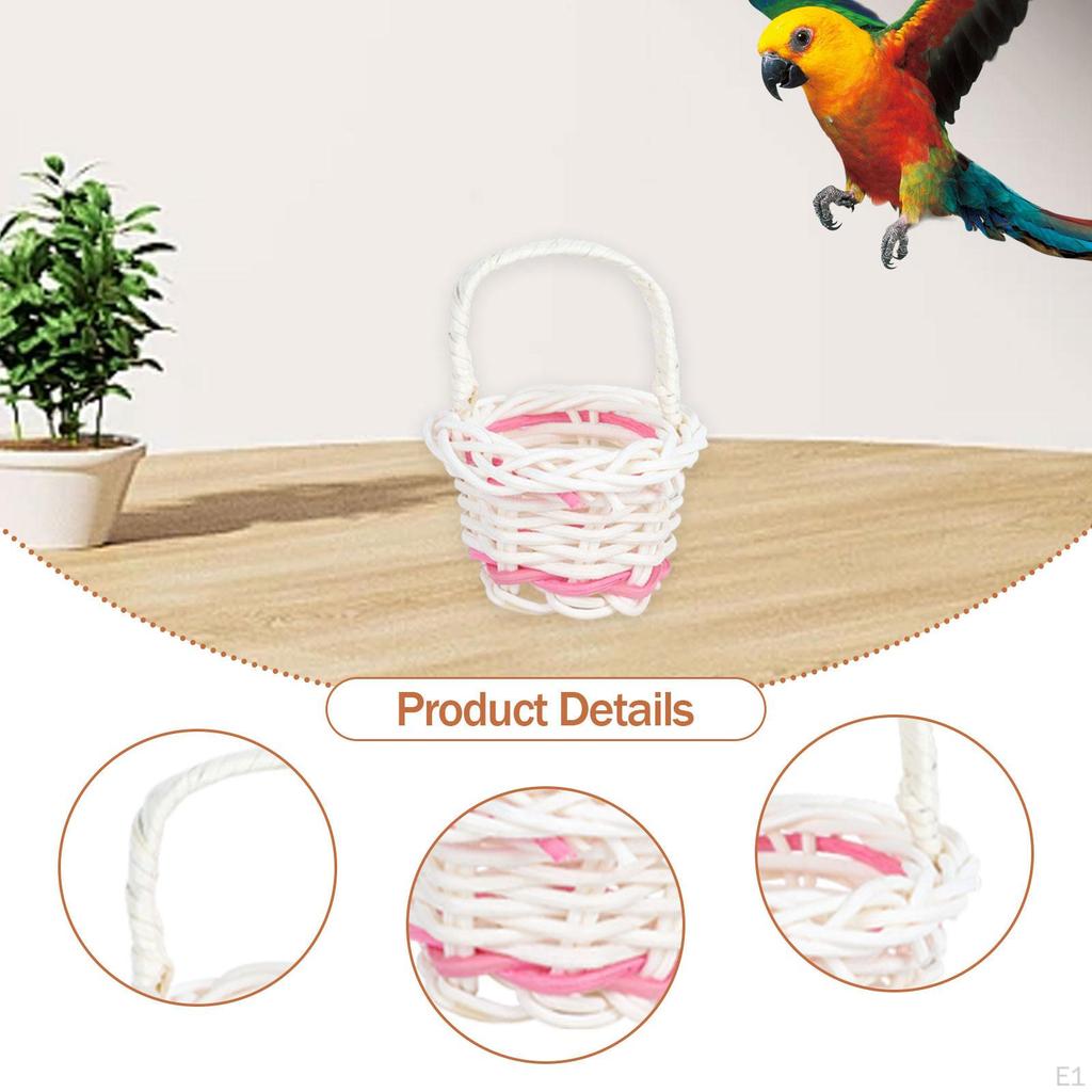 10 Pieces Bird Toy Chewing Hanging Feeder Foraging Basket for Small Animal Parakeet