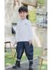 Boys' Long-Sleeve Velvet Polo Shirt - White School Uniform for Older Children In Winter