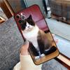 Чехол для телефона Британская короткошерстная кошка Для iPhone 16 15 14 13 11 12 Pro Max 12 13 mini XR 15 16 Plus 16e Защитный корпус