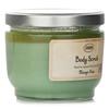 SABON Body Scrub Mango Kiwi 600g