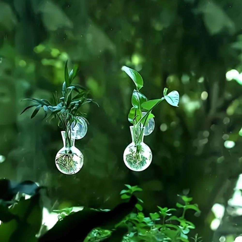 4pcs/set Self-Watering Plant Hydroponic Vase with Suction Cups Mini Flower Pot  Window