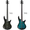 Бас-гитара Gio Ibanez GSR280QA для начинающих, набор из 12 предметов [с перезаряжаемым мини-усилителем] TMS Электроба...