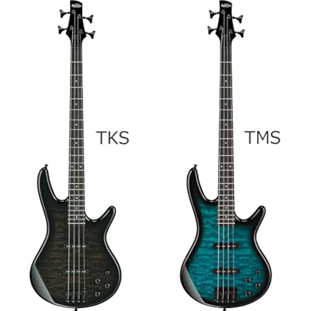 Бас-гитара Gio Ibanez GSR280QA для начинающих, набор из 12 предметов [с перезаряжаемым мини-усилителем] TMS Электроба...