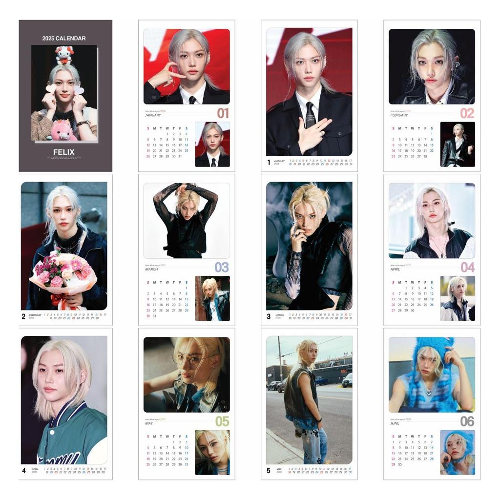 2025 Wall Calendar Wall [K-STAR Calendar] (Felix)