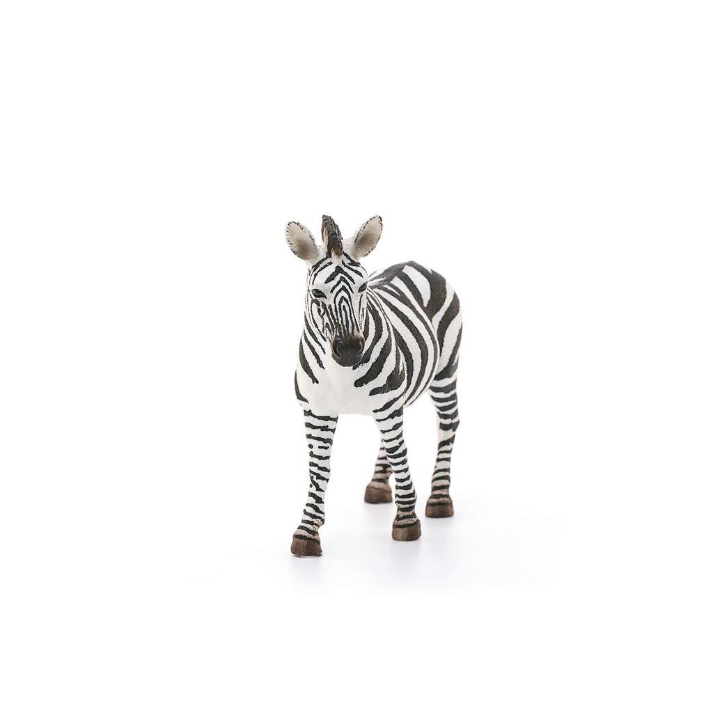 Schleich Wildlife Zebra Figure 14810 (Female)