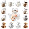 DIY Pet Hair Keepsake Box Transparent Pet Memorial Container  Pet Souvenirs