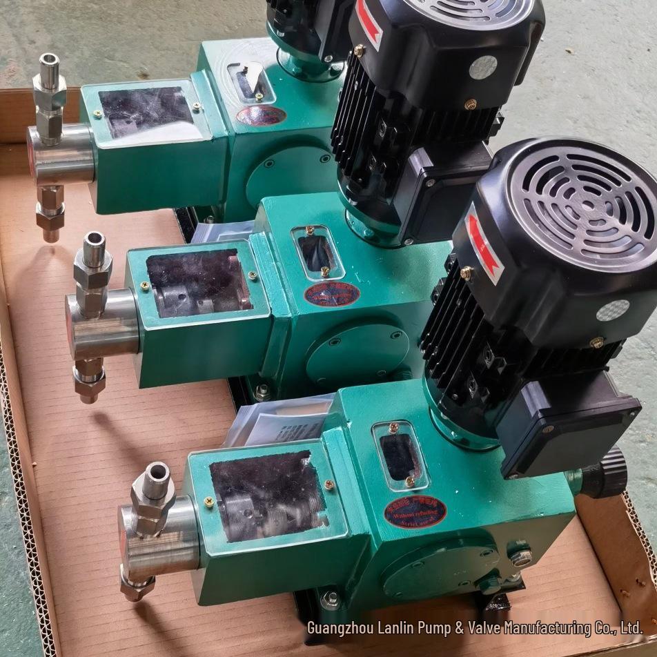 DZ-X2/50 304 Stainless Steel Acid & Alkali Resistant Plunger Metering Pump