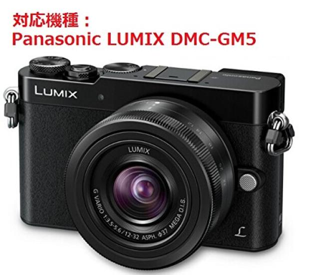 WASHODO Холщовая сумка для зеркальной камеры Panasonic LUMIX вмещает две и Рекомендуется для черной сумки DMC-GM5, ткань, объективы, легкая, прочная, стильная!
