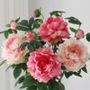Пионовая шелковая цветочная композиция - Искусственные цветы для декора гостиной и обеденного стола