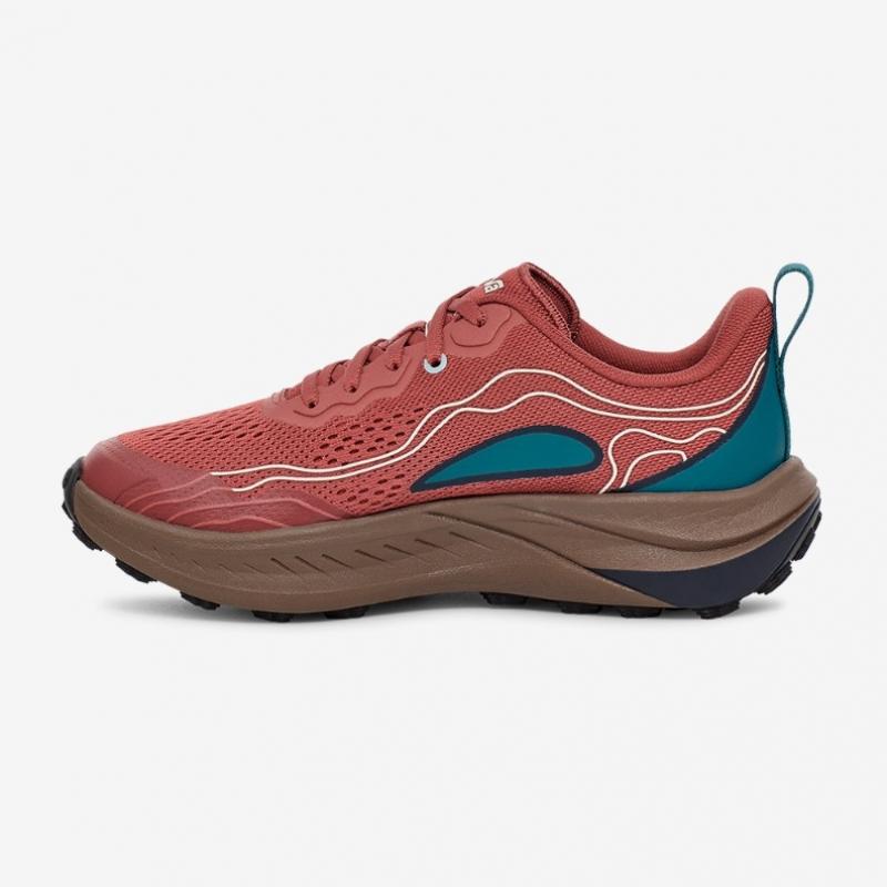 Teva Женские кроссовки для трейлраннинга S Trailwander Low Stvf2435992 mSl
