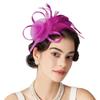 Formal Dress Feathers Mesh Headband Retro Fascinator Headdress  Masquerade Party