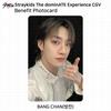 Stray Kids Опыт DominATE CGV Фотокарточка-бонус SKZ KPOP K-POP