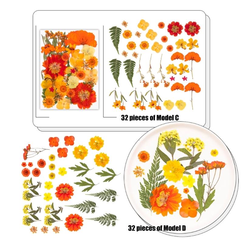 Натуральные сушеные цветы для эпоксидных форм Набор сухих цветов и листьев для искусства, ремесла, изготовления свечей, ювелирных изделий, скрапбукинга