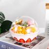 10 ШТ.-коробка для упаковки торта хрустальный шар для мусса десерт креативная коробка для выпечки торта Сферическая салатница Используется для вечеринок и встреч