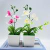 Искусственный бонсай Реалистичные три цветка Неувядающие Неувядающие Декоративные DIY Поддельные Орхидеи Фаленопсис