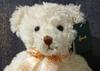 [USED] Harrods Oliver Teddy Bear Plush Toy
