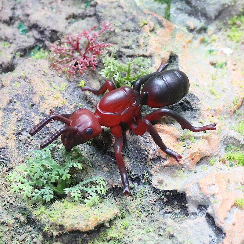 Насекомое Животное Образовательный Набор Моделей Пластиковые Фигурки Детское Обучение Школьное Домашнее