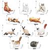 Children's Kitten Model Set: Ragdoll Cat, Lazy Orange Cat, Paw-Up Grey Cat, Sleeping Calico Cat, Lying Siamese Cat Figurines.