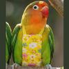 Escape Proof Bird Flight Suits Breathable Bird Flight Clothes Parrot Flying Harness  Pet Walking