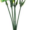 Garden for Home Bonsai Greenery Decoration Lemon Branch with Green Leaves Artificial Fruit