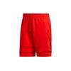 Sports Breathable Basketball Pants Men Bottoms Bright-Pink FR5740