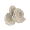 Cloth Butterfly Flower Hair Clip Butterfly Orchid Girl Hair Clip Orchid Flower Hairpin  Party