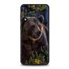 Funny Just Relax Brown Bear Phone Case For Samsung Galaxy A12 A32 A50 A70 A20E A20S A10S A22 A30 A40 A42 A52 5G A02S A04s Cover