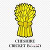 Cheshire Cricket Cheshire County Cricket Club Hale Bar Iron On Heat Transfer Printing Vinyl Patches Sticker for Clothes DIY Appliques Washable Patches