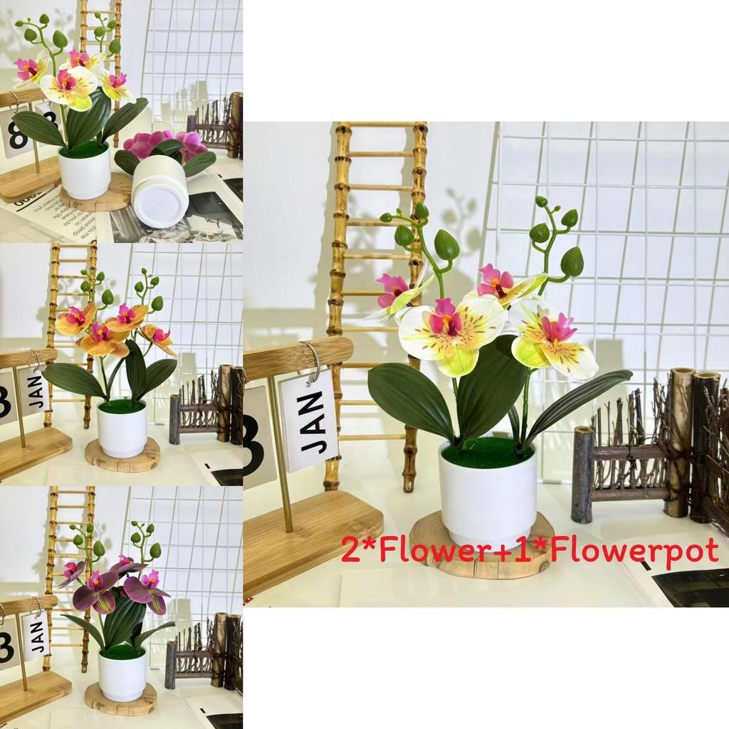 Искусственное растение Фаленопсис с 3D-пленкой для декора помещений и фотосессий