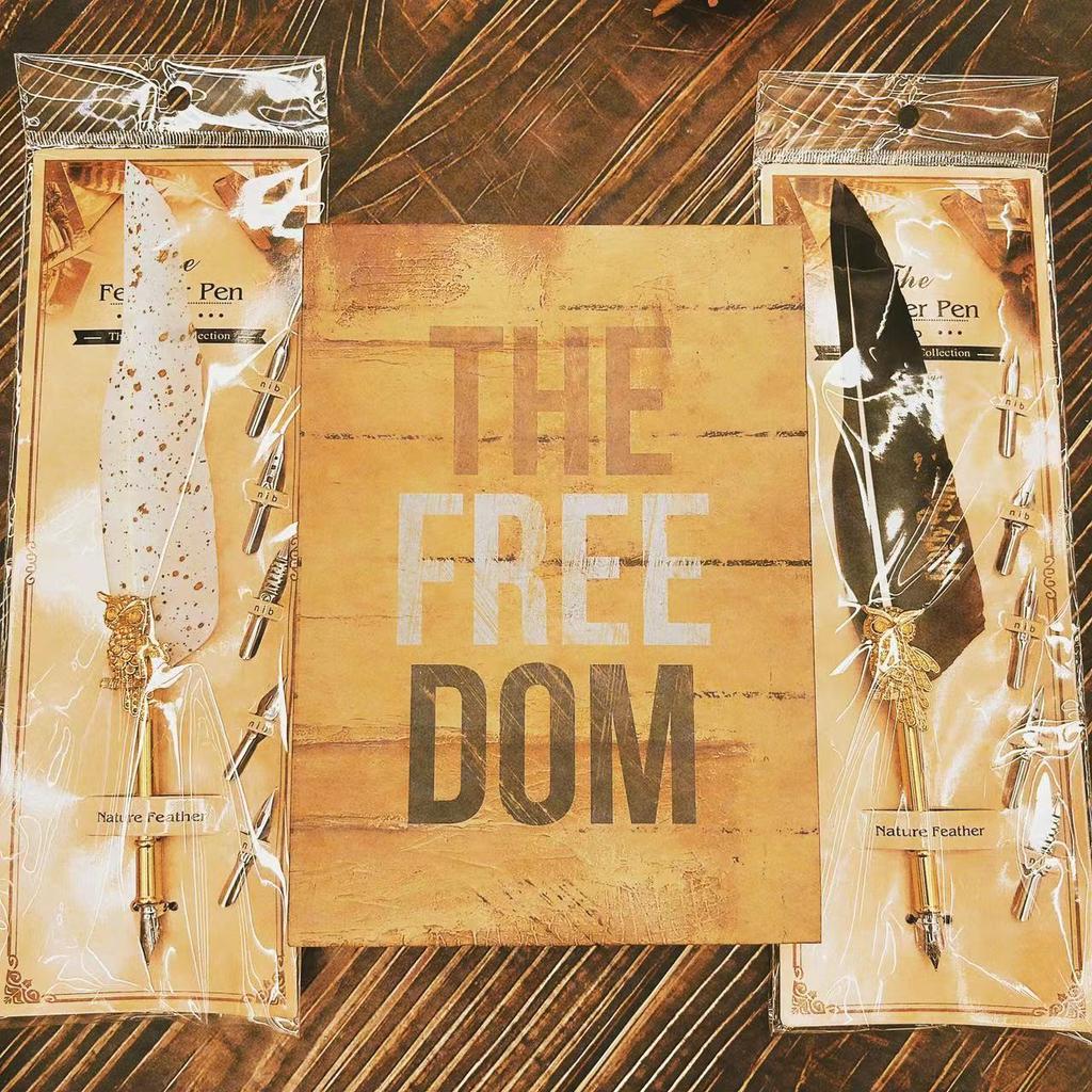 Креативное ретро перо, Прямые продажи, Ретро сменное перо, Обмакиваемое в воду