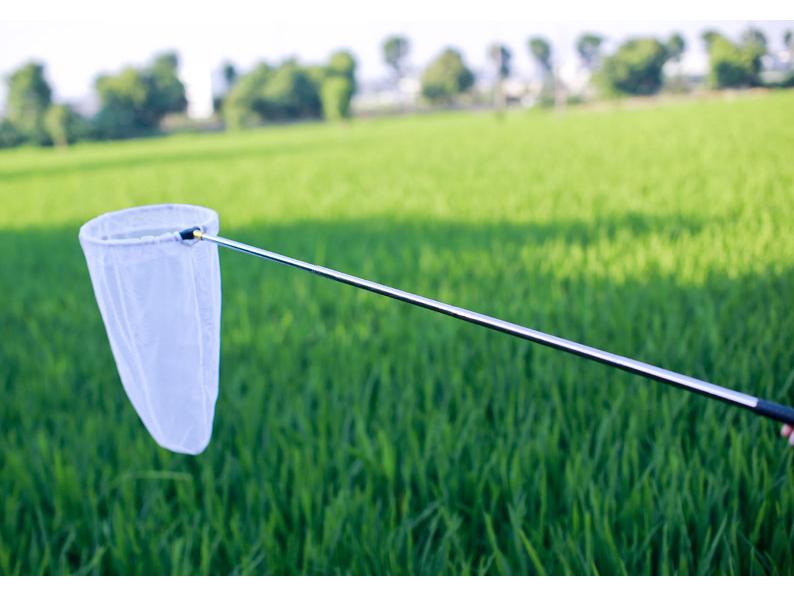 Compact Stainless Steel Telescopic Insect & Fish Net: Butterfly, Dragonfly, Tadpole, Shrimp Catching Gear