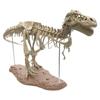 10ml Dinosaur Skeleton Resin Crafts Personalized Desktop Ornaments
