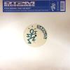 12inch Record STEVE EDWARDS - Thru The Night DTPM17 DTPM Recordings 2006 UK Dance & Electronica Used