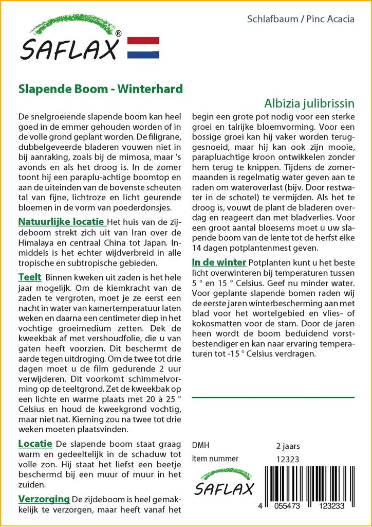 SAFLAX Pinc Acacia - 50 семян - Albizia julibrissin