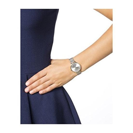 Skagen SKAGEN ANITA кварцевые женские часы SKW2340 Серебро/Серебро [товар]