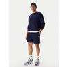 Спортивные шорты Reebok Bazunu