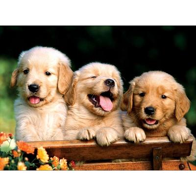 Пазл BN Puzzle Eternal Friend 150-03, разноцветные, 150 деталей