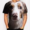 New Summer Cute Animal Dog 3D Print T-Shirt Men Women Funny Short Sleeve Oversized Harajuku Tees Tops Kid Man Clothing
