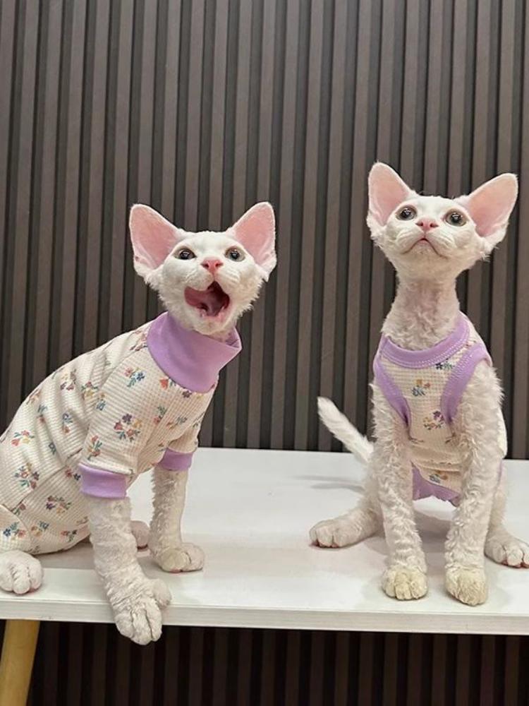 Новая вафельная цветочная одежда для четвероногих, защита живота, одежда для лысых кошек, сфинкс Кот Девон