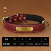 Personalized Engraved Dog Collar Leather Pet Small Medium Dogs