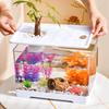 Transparent Desktop Fish Tank with Cover - Ecological Micro Landscape for Goldfish & Turtles