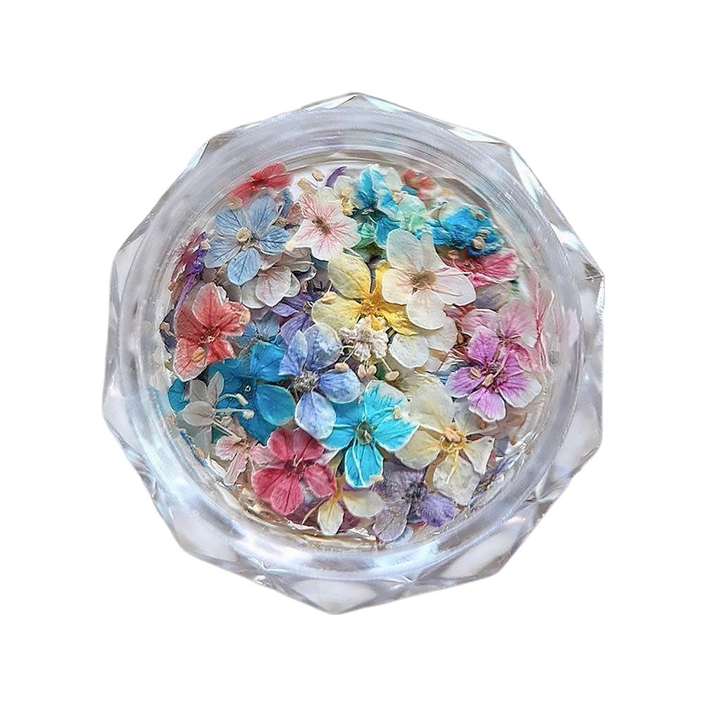 Dried Flower Materials For Nail Romantic Monet Garden Color Palette Vibrant Accessories Wildflower Nail Art Decorations Tools