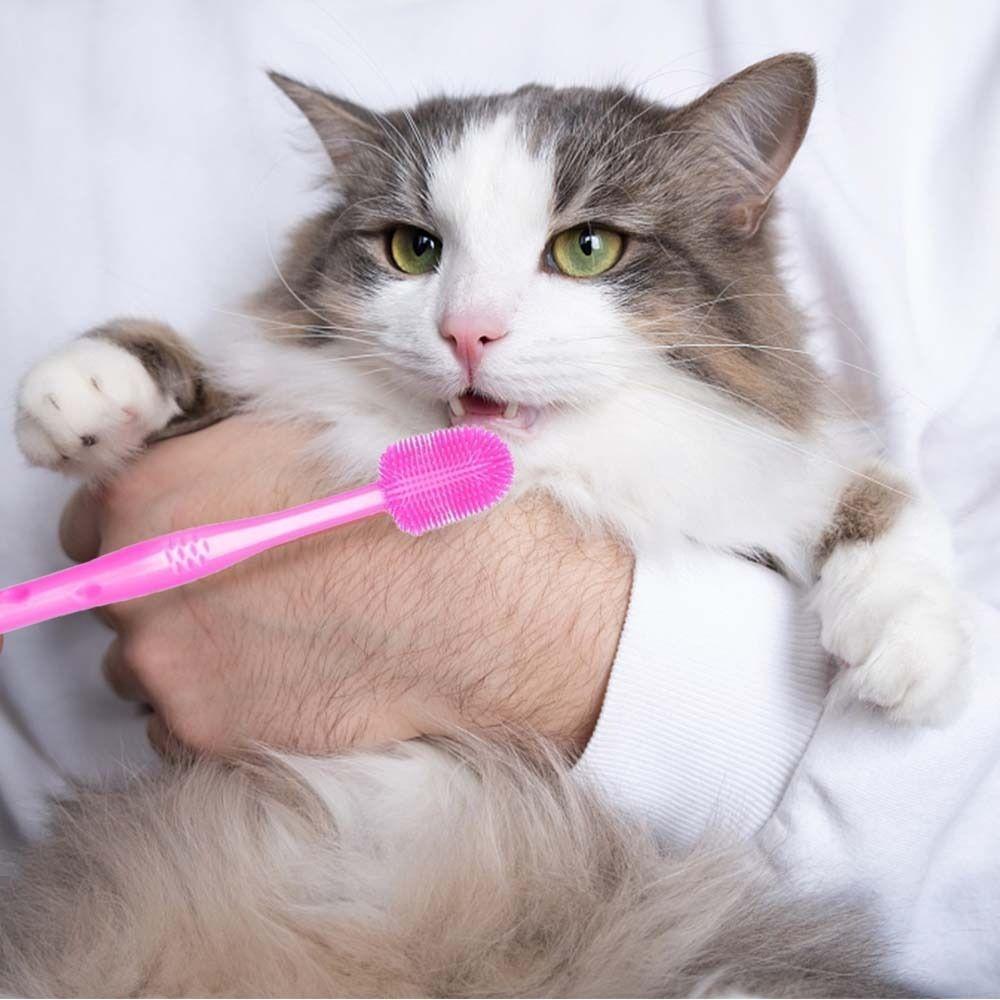Oral Cleaning Face Blackhead Cleaning Cat Acne Brush Pet Supplies Dog Cleaning Brush Cat Toothbrush