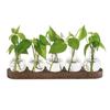 Bud Vases Hydroponics Glass Vase with Wooden Tray Bulb Vase  Home Decoration
