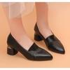 New Women's Stewardess High Heels Thick Heel Versatile Sexy Single Shoes Professional Work Shoes Black Small Leather Dress Pumps