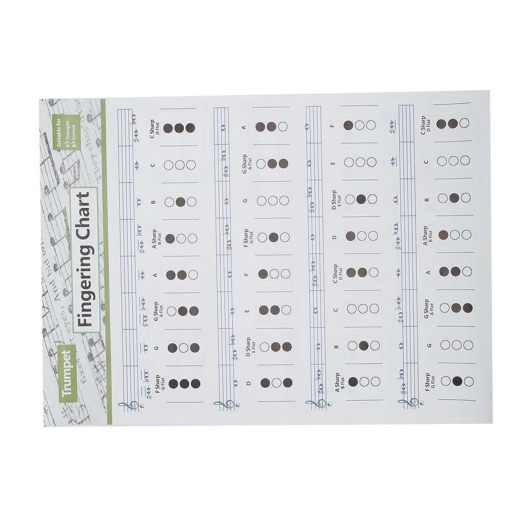 Таблица аккордов для трубы. Аппликатура нот. Справочное руководство по музыкальным инструментам для домашнего обучения.