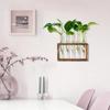 Wood Frame Test Tube Vases Transparent Glass Glass Planter Hydroponic Plants Container  Home Decor
