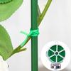 Garden Plant Ties Flexible Wire Design Weather-Resistant Vegetable Tomato Twist Ties Climbing Plants Support Ties
